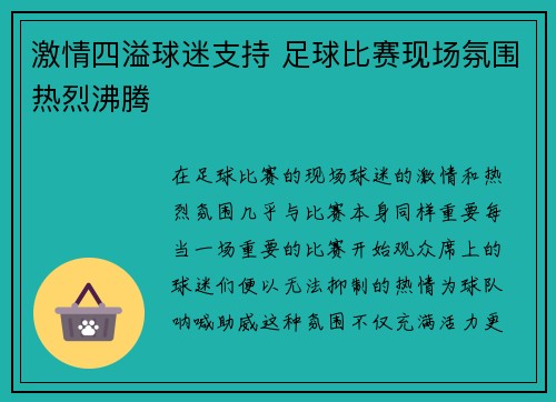 激情四溢球迷支持 足球比赛现场氛围热烈沸腾
